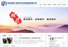 黄浦城市开发投资集团有限公司