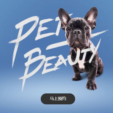 黄浦宠物中心小程序开发