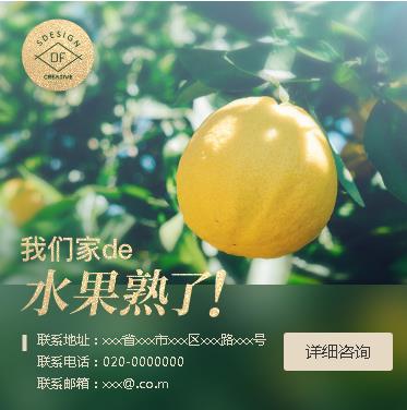 黄浦果园果林小程序开发